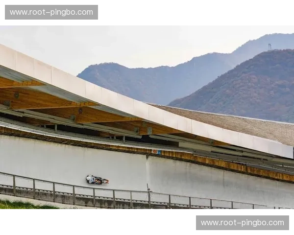 英国钢架雪车仅列第八 争冠梦碎后队伍进入调整期